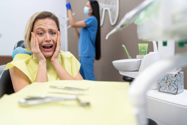 Best Emergency Cosmetic Dentistry (e.g., broken veneers) in Gibraltar, MI