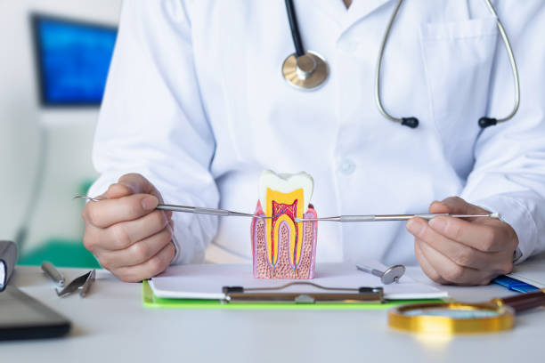 Best Emergency Orthodontic Repairs in Gibraltar, MI